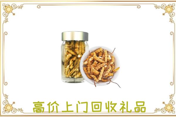 尉犁县周边回收虫草